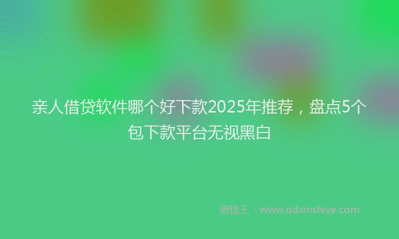 亲人借贷软件哪个好下款2025年推荐，盘点5个包下款平台无视黑白