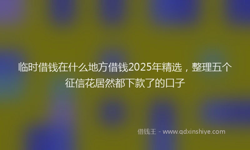 临时借钱在什么地方借钱2025年精选，整理五个征信花居然都下款了的口子