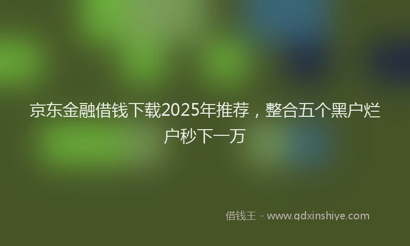 京东金融借钱下载2025年推荐，整合五个黑户烂户秒下一万