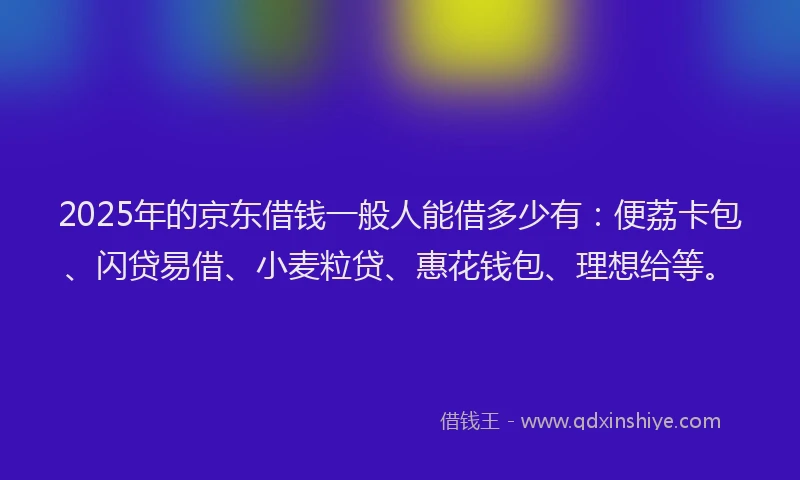2025年的京东借钱一般人能借多少有：便荔卡包、闪贷易借、小麦粒贷、惠花钱包、理想给等。