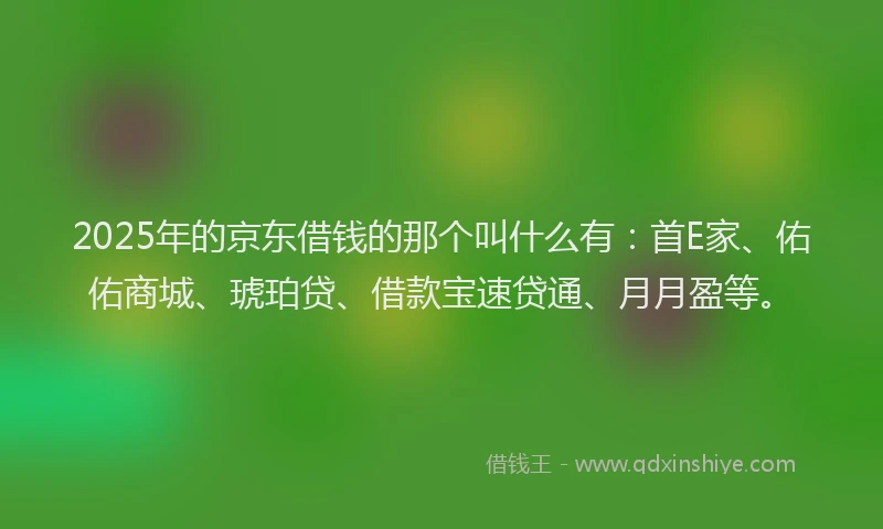 2025年的京东借钱的那个叫什么有：首E家、佑佑商城、琥珀贷、借款宝速贷通、月月盈等。