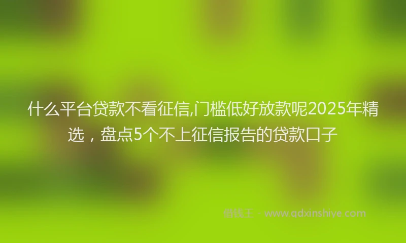 什么平台贷款不看征信,门槛低好放款呢2025年精选，盘点5个不上征信报告的贷款口子