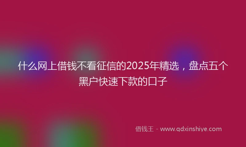 什么网上借钱不看征信的2025年精选，盘点五个黑户快速下款的口子
