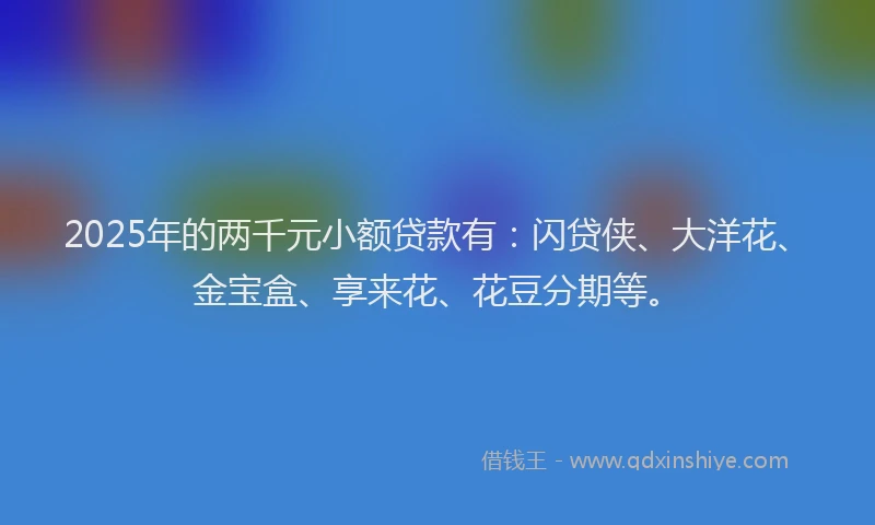 2025年的两千元小额贷款有：闪贷侠、大洋花、金宝盒、享来花、花豆分期等。
