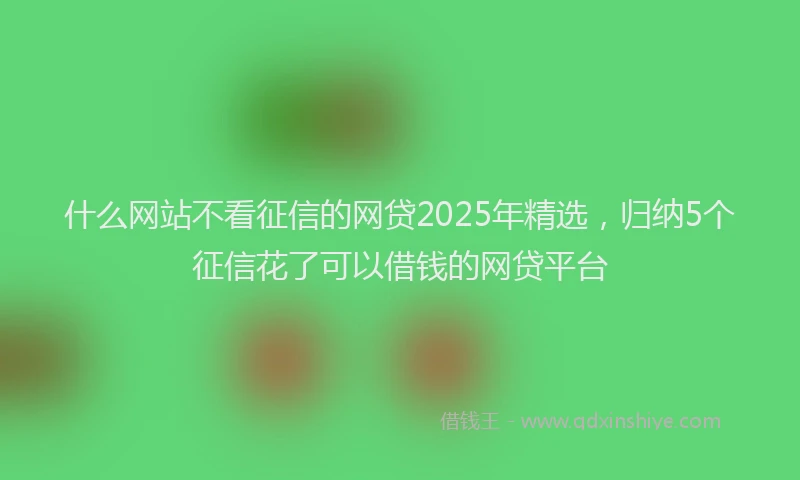 什么网站不看征信的网贷2025年精选，归纳5个征信花了可以借钱的网贷平台