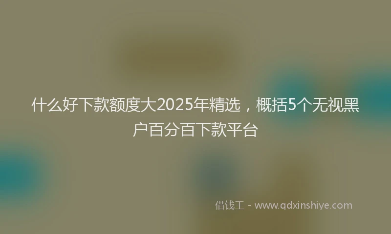 什么好下款额度大2025年精选，概括5个无视黑户百分百下款平台