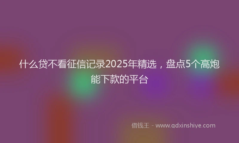 什么贷不看征信记录2025年精选，盘点5个高炮能下款的平台
