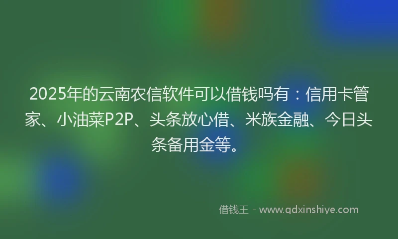 2025年的云南农信软件可以借钱吗有：信用卡管家、小油菜P2P、头条放心借、米族金融、今日头条备用金等。