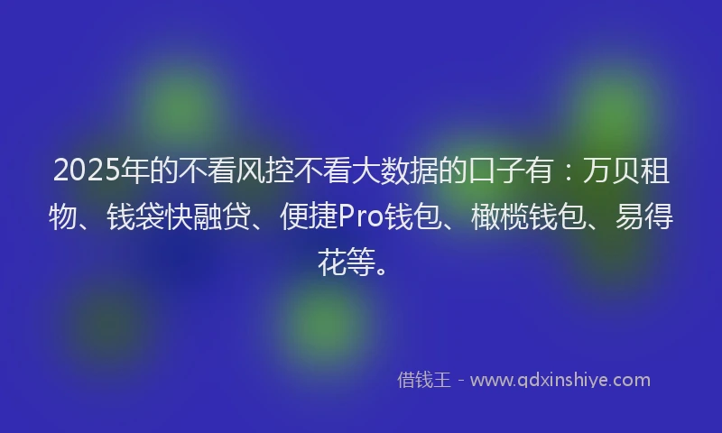 2025年的不看风控不看大数据的口子有：万贝租物、钱袋快融贷、便捷Pro钱包、橄榄钱包、易得花等。