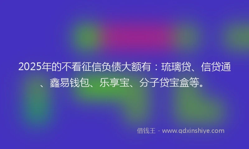 2025年的不看征信负债大额有：琉璃贷、信贷通、鑫易钱包、乐享宝、分子贷宝盒等。