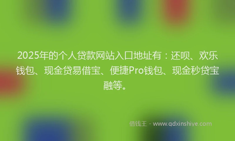 2025年的个人贷款网站入口地址有：还呗、欢乐钱包、现金贷易借宝、便捷Pro钱包、现金秒贷宝融等。