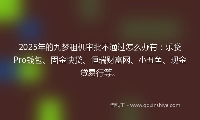 2025年的九梦租机审批不通过怎么办有：乐贷Pro钱包、固金快贷、恒瑞财富网、小丑鱼、现金贷易行等。