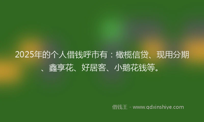 2025年的个人借钱呼市有：橄榄信贷、现用分期、鑫享花、好居客、小鹅花钱等。