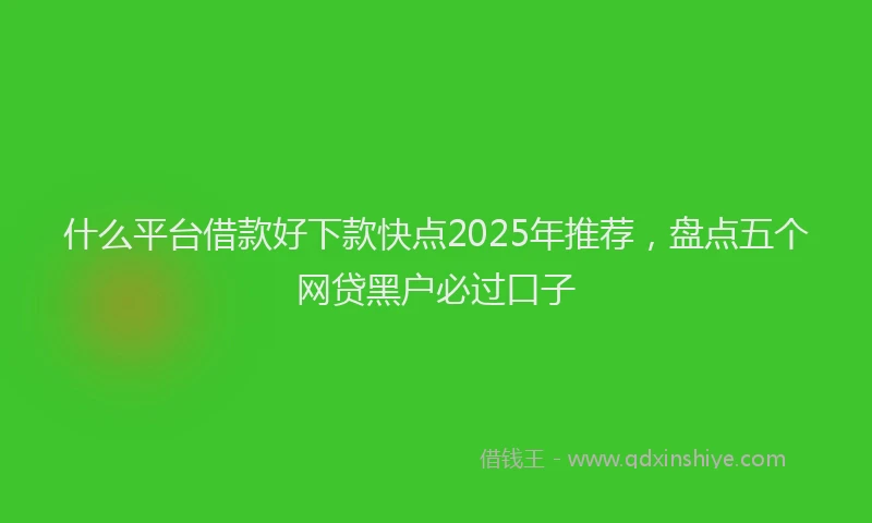 什么平台借款好下款快点2025年推荐，盘点五个网贷黑户必过口子