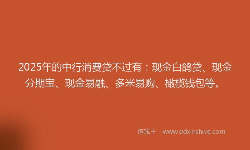 2025年的中行消费贷不过有：现金白鸽贷、现金分期宝、现金易融、多米易购、橄榄钱包等。