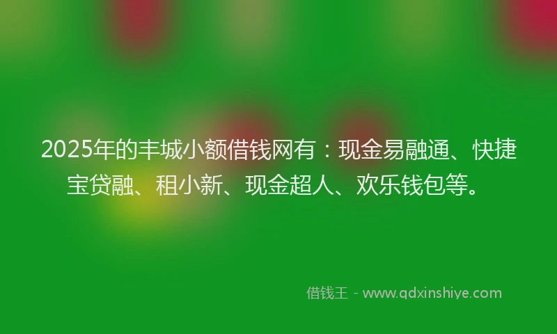 2025年的丰城小额借钱网有：现金易融通、快捷宝贷融、租小新、现金超人、欢乐钱包等。
