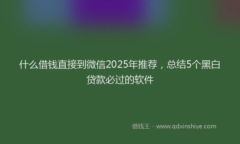 什么借钱直接到微信2025年推荐，总结5个黑白贷款必过的软件