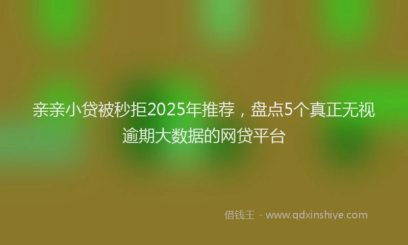 亲亲小贷被秒拒2025年推荐，盘点5个真正无视逾期大数据的网贷平台