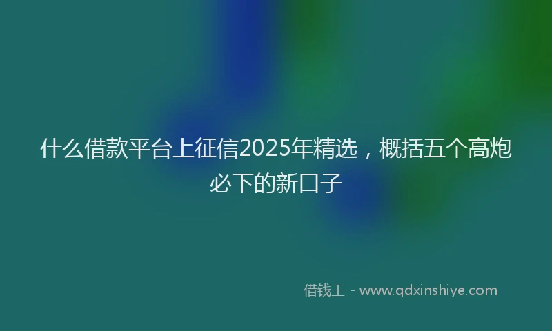什么借款平台上征信2025年精选，概括五个高炮必下的新口子