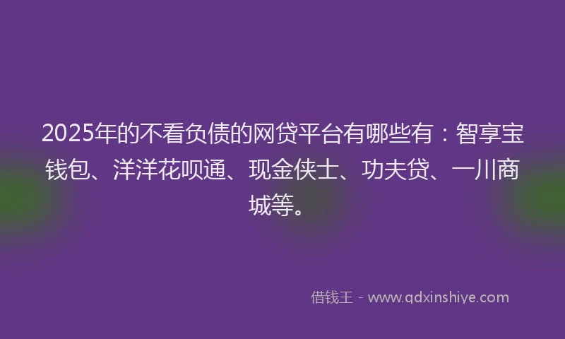 2025年的不看负债的网贷平台有哪些有：智享宝钱包、洋洋花呗通、现金侠士、功夫贷、一川商城等。