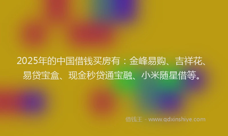 2025年的中国借钱买房有：金峰易购、吉祥花、易贷宝盒、现金秒贷通宝融、小米随星借等。