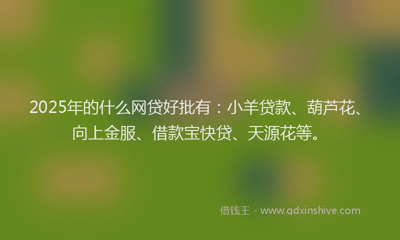 2025年的什么网贷好批有：小羊贷款、葫芦花、向上金服、借款宝快贷、天源花等。