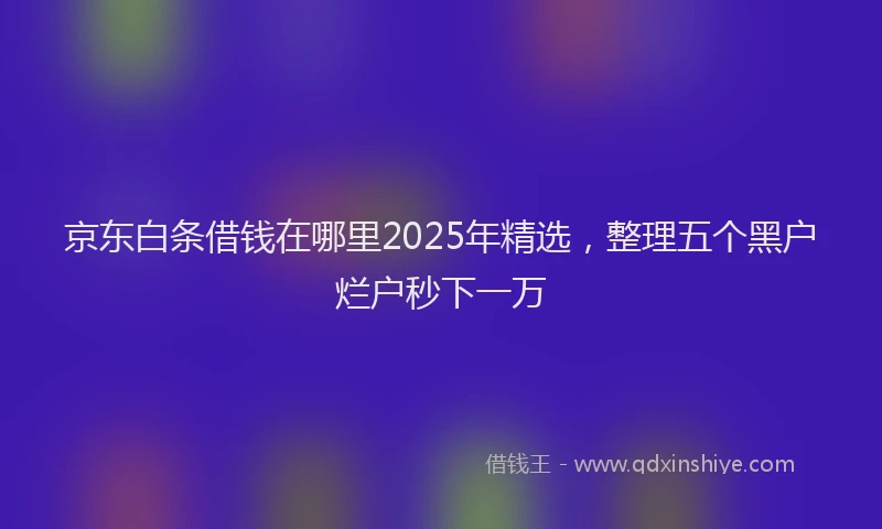京东白条借钱在哪里2025年精选，整理五个黑户烂户秒下一万