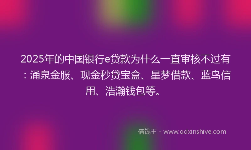 2025年的中国银行e贷款为什么一直审核不过有：涌泉金服、现金秒贷宝盒、星梦借款、蓝鸟信用、浩瀚钱包等。