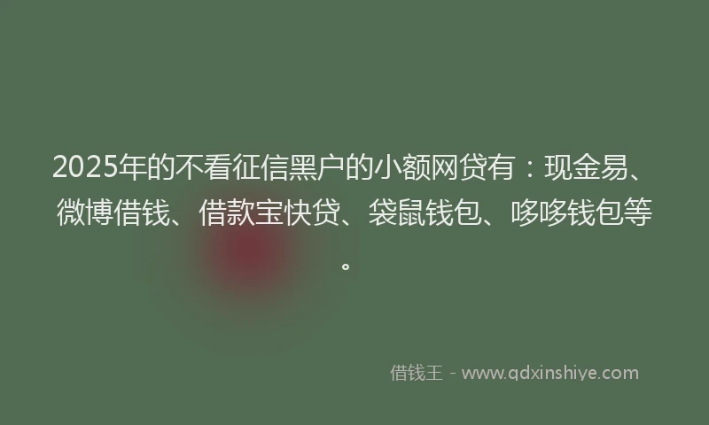 2025年的不看征信黑户的小额网贷有：现金易、微博借钱、借款宝快贷、袋鼠钱包、哆哆钱包等。