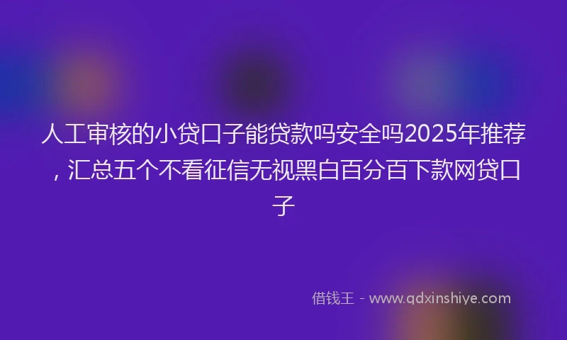 人工审核的小贷口子能贷款吗安全吗2025年推荐，汇总五个不看征信无视黑白百分百下款网贷口子