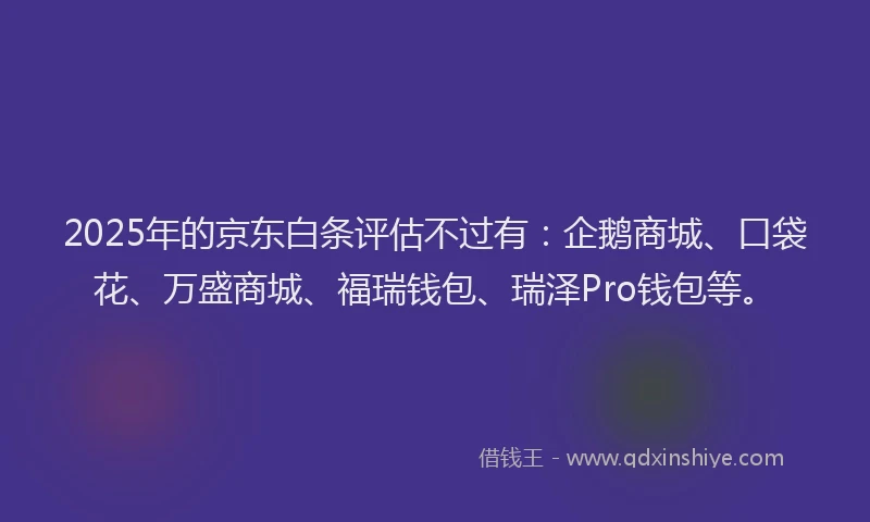 2025年的京东白条评估不过有：企鹅商城、口袋花、万盛商城、福瑞钱包、瑞泽Pro钱包等。