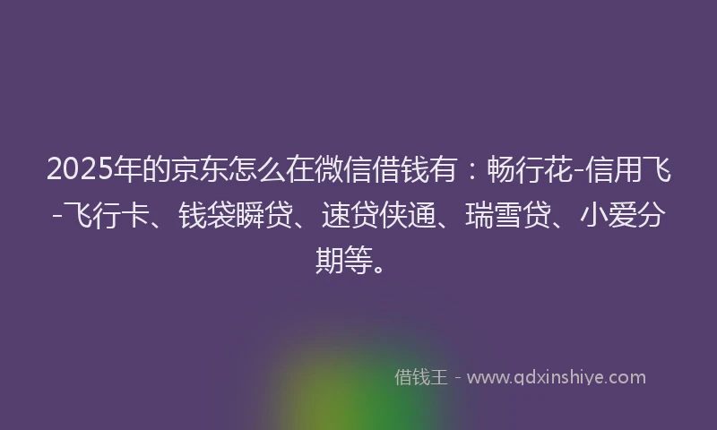 2025年的京东怎么在微信借钱有：畅行花-信用飞-飞行卡、钱袋瞬贷、速贷侠通、瑞雪贷、小爱分期等。