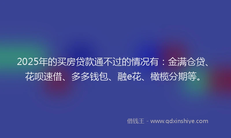 2025年的买房贷款通不过的情况有：金满仓贷、花呗速借、多多钱包、融e花、橄榄分期等。
