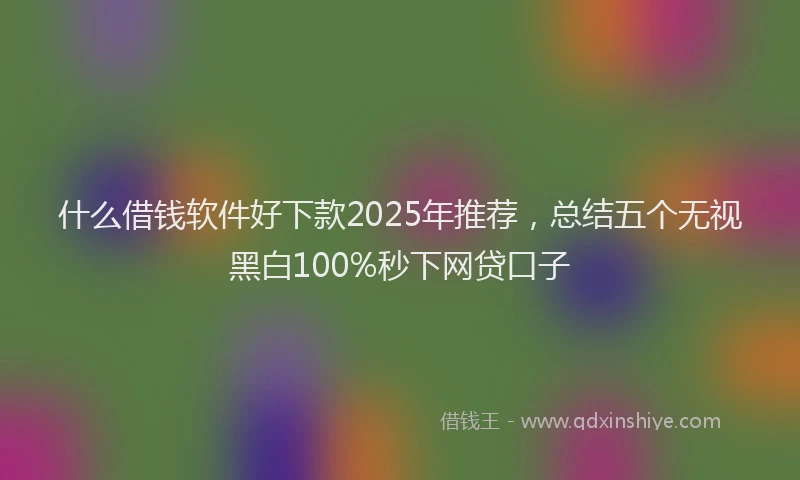 什么借钱软件好下款2025年推荐，总结五个无视黑白100%秒下网贷口子