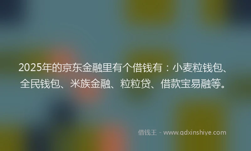 2025年的京东金融里有个借钱有：小麦粒钱包、全民钱包、米族金融、粒粒贷、借款宝易融等。