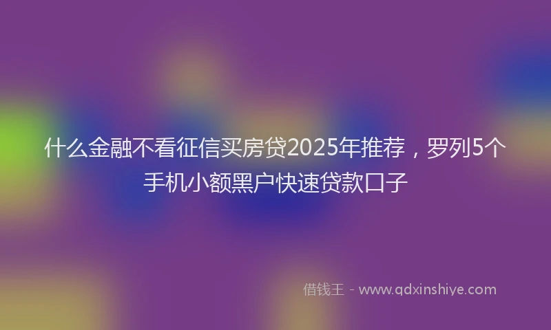 什么金融不看征信买房贷2025年推荐，罗列5个手机小额黑户快速贷款口子