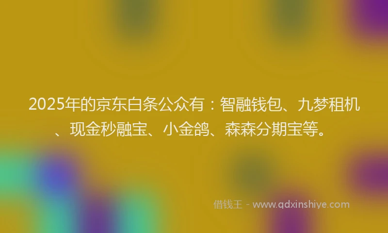 2025年的京东白条公众有：智融钱包、九梦租机、现金秒融宝、小金鸽、森森分期宝等。