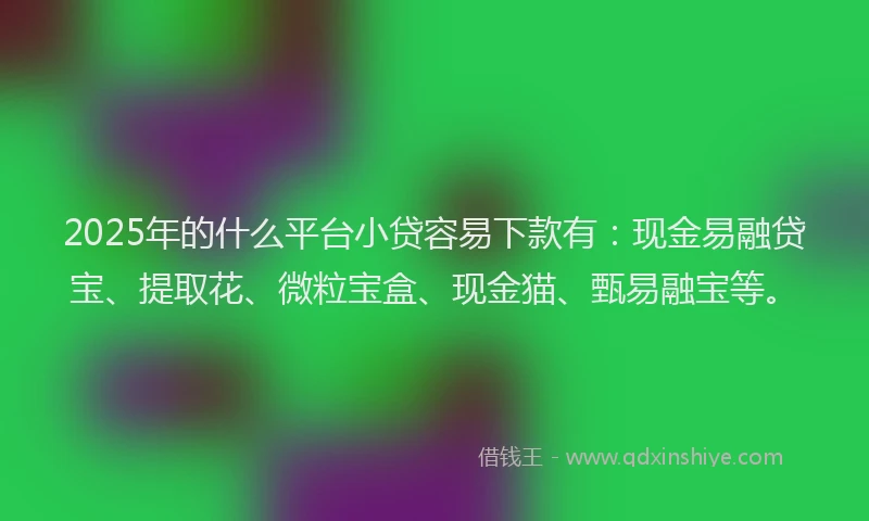 2025年的什么平台小贷容易下款有：现金易融贷宝、提取花、微粒宝盒、现金猫、甄易融宝等。