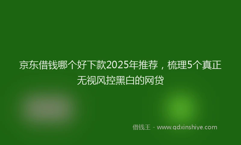 京东借钱哪个好下款2025年推荐，梳理5个真正无视风控黑白的网贷