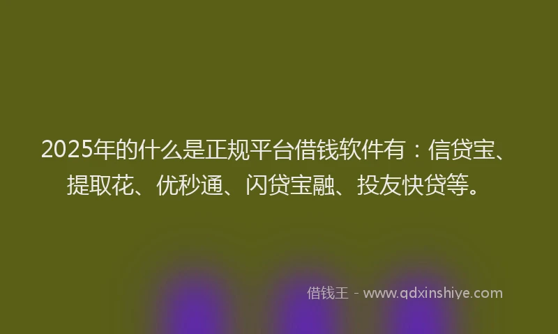 2025年的什么是正规平台借钱软件有：信贷宝、提取花、优秒通、闪贷宝融、投友快贷等。