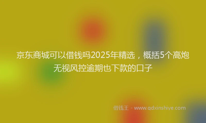 京东商城可以借钱吗2025年精选，概括5个高炮无视风控逾期也下款的口子