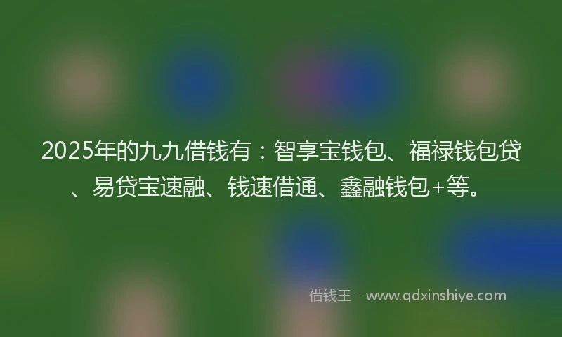2025年的九九借钱有：智享宝钱包、福禄钱包贷、易贷宝速融、钱速借通、鑫融钱包+等。
