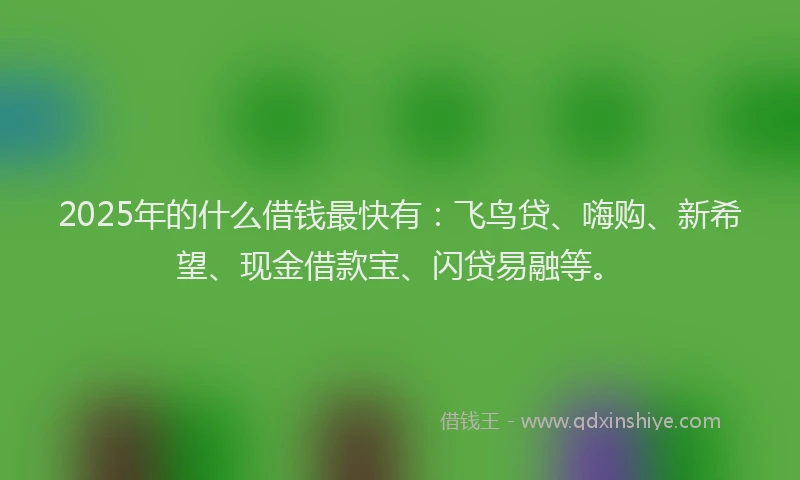 2025年的什么借钱最快有：飞鸟贷、嗨购、新希望、现金借款宝、闪贷易融等。