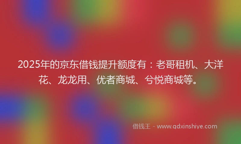 2025年的京东借钱提升额度有：老哥租机、大洋花、龙龙用、优者商城、兮悦商城等。