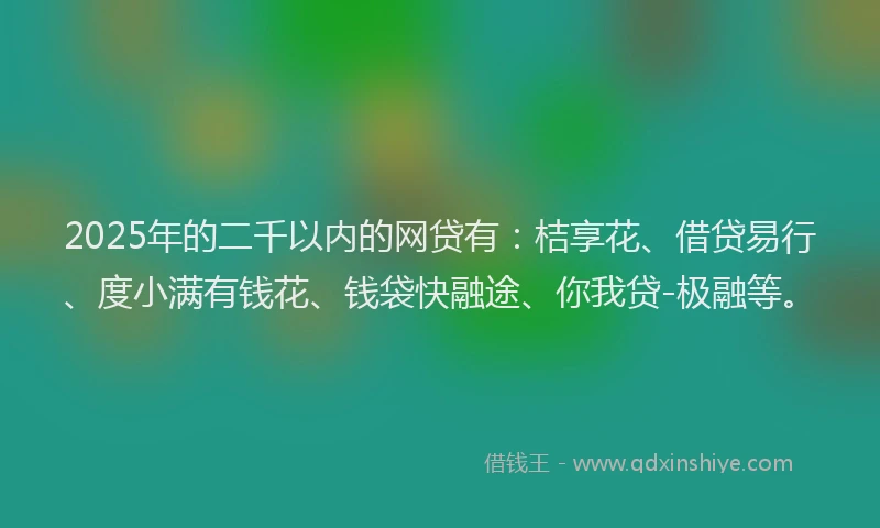 2025年的二千以内的网贷有：桔享花、借贷易行、度小满有钱花、钱袋快融途、你我贷-极融等。