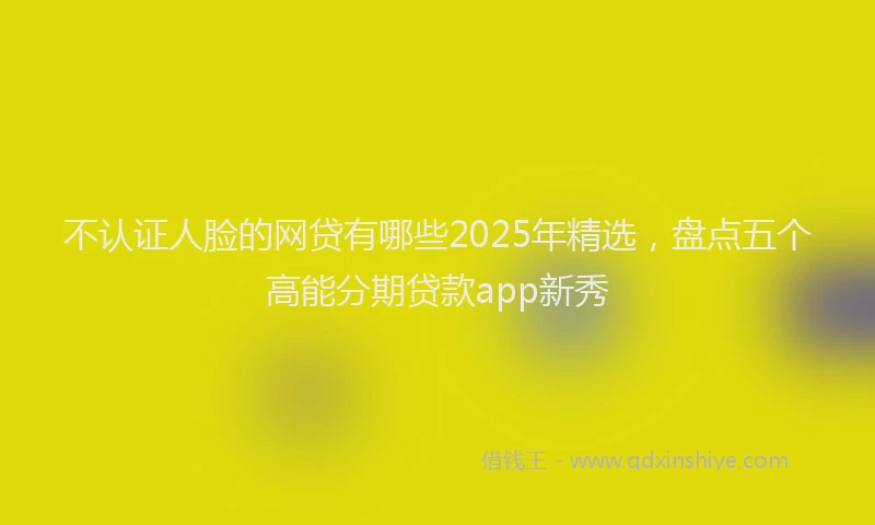 不认证人脸的网贷有哪些2025年精选，盘点五个高能分期贷款app新秀