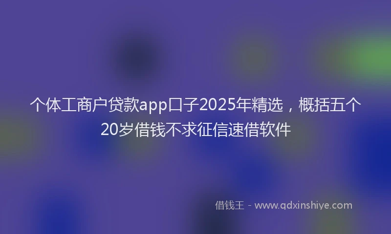 个体工商户贷款app口子2025年精选，概括五个20岁借钱不求征信速借软件