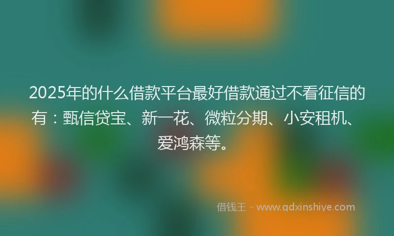 2025年的什么借款平台最好借款通过不看征信的有：甄信贷宝、新一花、微粒分期、小安租机、爱鸿森等。
