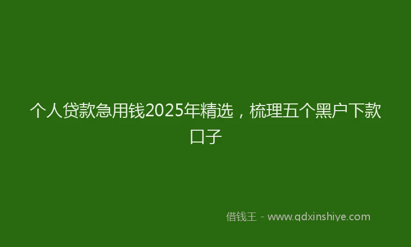 个人贷款急用钱2025年精选，梳理五个黑户下款口子
