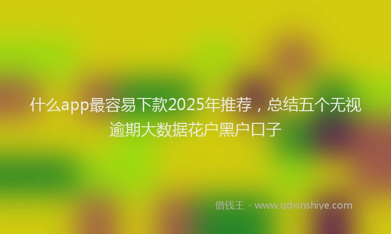 什么app最容易下款2025年推荐，总结五个无视逾期大数据花户黑户口子